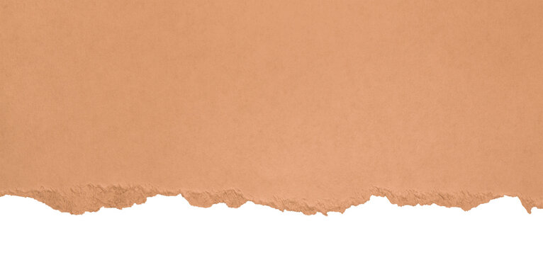 horizontal cardboard strips with ripped edges