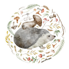 Hedgehog surrounded by forest elements Watercolor illustration. Drawing of forest animal with mushrooms, leaves, and berries in circle for Baby invitations or childish woodland greeting cards.
