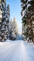 Obraz premium Snowy winter forest path