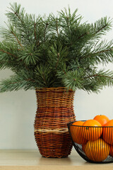 Pine branches in wicker vase and oranges in wire basket on table