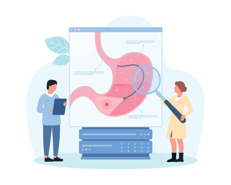 Gastroscopy, endoscopy for diagnosis of stomach diseases vector illustration. Cartoon tiny people with magnifying glass, medical endoscope with light examine upper digestive tract of patient on screen