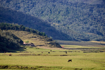 Fototapeta premium Vast and breathtaking, the Huaylla Belén Valley in Amazonas, Peru unfolds in gentle curves of grassland and water—where the Andes and sky meet in quiet harmony.