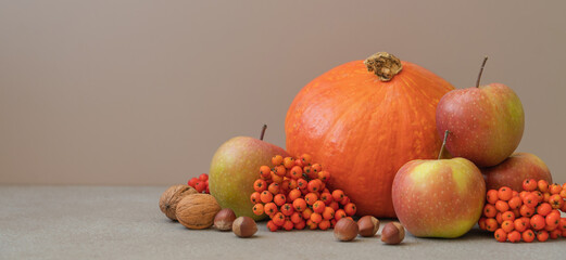 Autumn Still Life with Pumpkin, Apples, Rowan Berries, and Nuts. Seasonal Harvest Composition