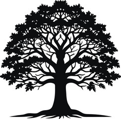 Obraz premium Minimalist Black Silhouette of Oak Tree with Wide Branches on White Background