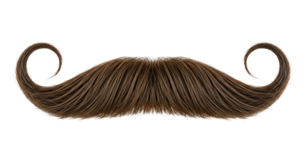 Brown hair mustache with swirled ends isolated on transparent background