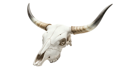 Cow skull with horns animal skull transparent background