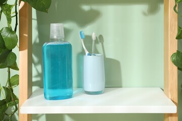 Bottle of mouthwash and toothbrushes on shelf in bathroom. Space for text