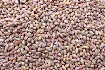 Rustic background with bulk pistachio nuts, organic farm product.