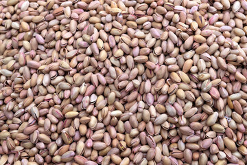 Heap of raw pistachio nuts in shells, natural dried snack.