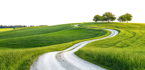 Winding rural road passing through green field with trees, isolated on transparent cutout background