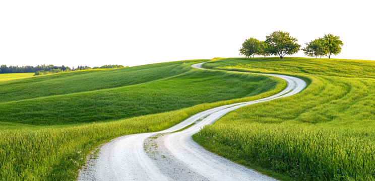 Winding rural road passing through green field with trees, isolated on transparent cutout background