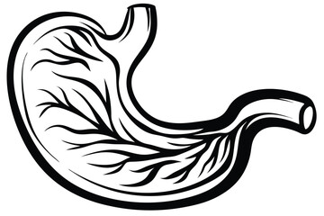 Monochrome stylized stomach shows branching internal structures on a white background