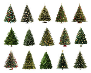 Obraz premium PNG Variety of decorated Christmas trees, element set on transparent background