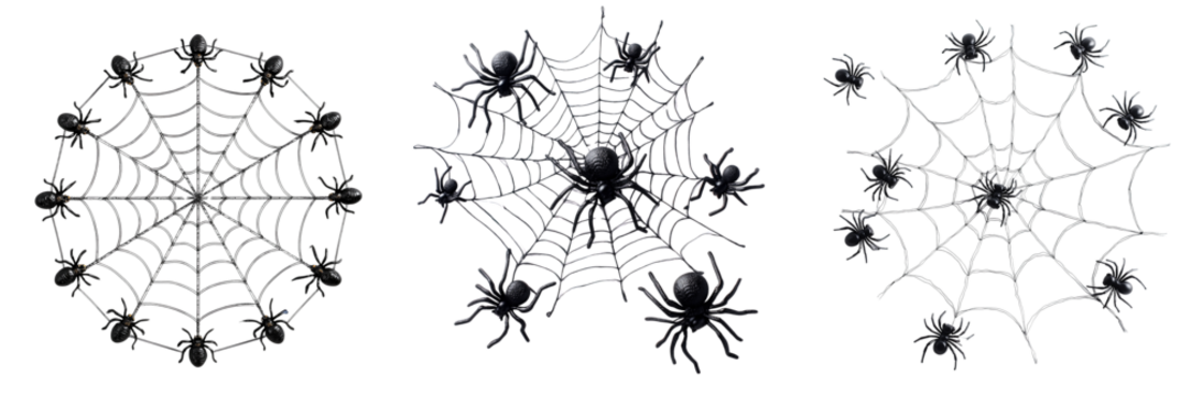 Captivating spider web designs nature graphic art close-up patterns