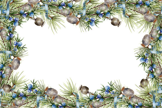 Watercolor frame with pine branches, poppy pods, blue ribbon, and juniper berries in green and blue tones. Perfect for winter holidays, packaging, spa products, and greeting cards.