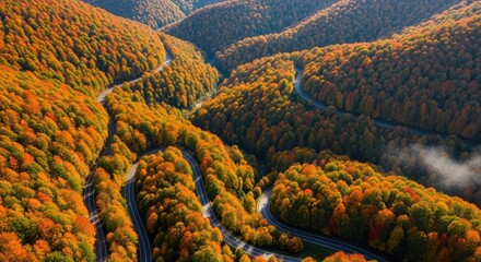 Breathtaking aerial view of a winding mountain road surrounded by vibrant orange and yellow autumn forest foliage with mist.