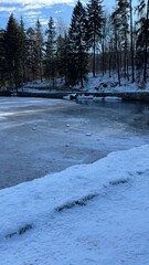 frozen river and view of the forest