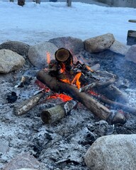 burning wood on a fire 