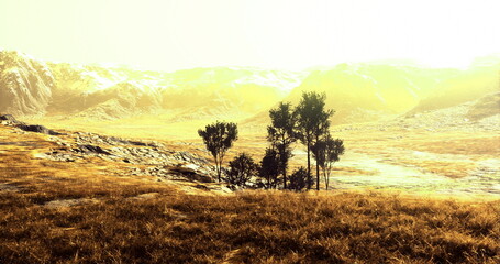 Bright sunlight casts a golden hue over a tranquil landscape featuring a cluster of trees. The rugged mountains rise in the background, creating a serene atmosphere.