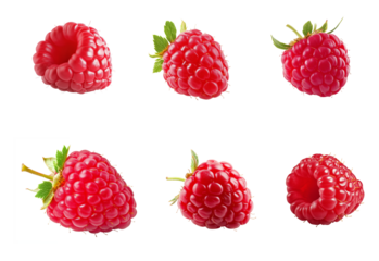 Single raspberry isolated on white.