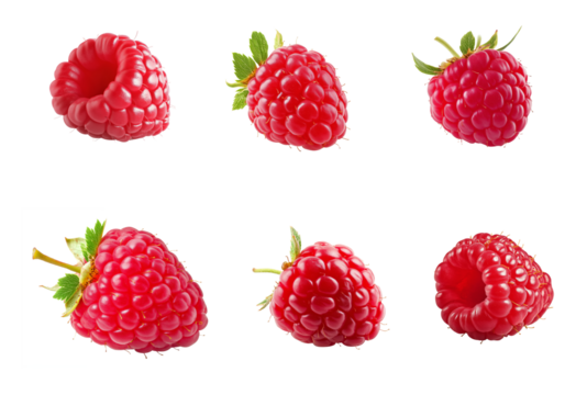 Single raspberry isolated on white.