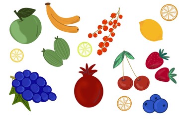 Set of fruits and berries. Vector illustration.