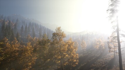 Sunlight breaks through the misty canopy as vibrant autumn leaves glow golden in a tranquil mountain forest. The serene atmosphere invites peaceful contemplation and reflection.
