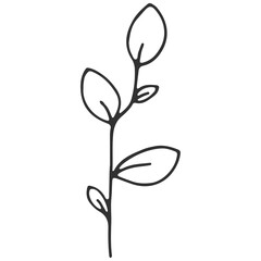 A simple line drawing of a sprig with oval leaves, isolated on a white background, minimalist style, serene mood, no shadows.
