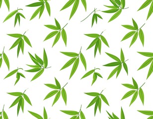 Obraz premium Green leaves pattern on white background