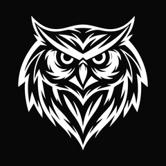 White owl stares intensely with detailed plumage on black backdrop