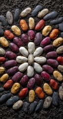Colorful bean arrangement in a circular pattern on a dark background.