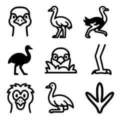Nine Bold Line Art Illustrations of Ostriches and Emus.
