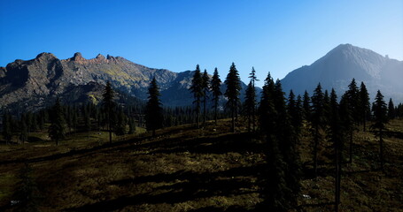 Majestic mountains stretch across the horizon under a clear blue sky. Tall evergreens stand proudly on the rolling hills, casting long shadows in the warm sunlight.
