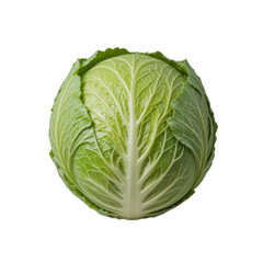 Fototapeta premium cabbage isolated png