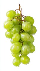 Studio shot of a bunch of fresh green grapes with water droplets hanging, isolated on white background, close-up