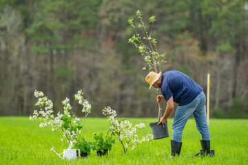 Gardener farmer working in spring garden. Gardener in garden with shovel. Mature gardener cultivating land. Mature farmer in orchard. Worker gardener planting seedling. Growing plants in backyard.