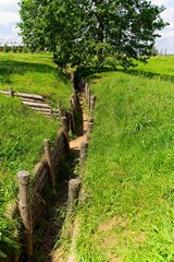Minsk region, Belarus, July 12, 2025. A World War II trench on the Stalin Line.                               