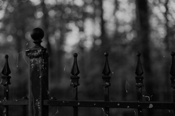 old rusty gate