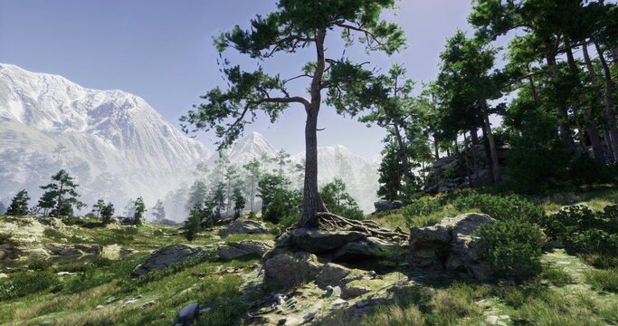 Tall trees stand proudly in a serene mountain landscape, surrounded by lush greenery and rocky formations.