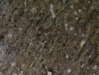rough sand stone wall texture
