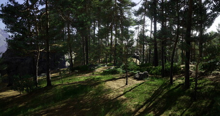 Soft rays of sunlight cascade across a serene forest, illuminating rich greenery and majestic pine trees. The peaceful setting invites relaxation and exploration in natures embrace.