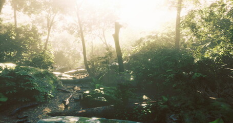 Soft sunlight filters through a lush forest, illuminating the vibrant greenery and creating a mystical atmosphere. Streams of light dance among the trees, inviting discovery.