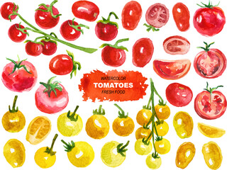 Vector watercolor painted tomatoes clipart