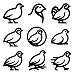 Stylized Bird Illustrations in Various Poses Outlined with Bold Black Lines.
