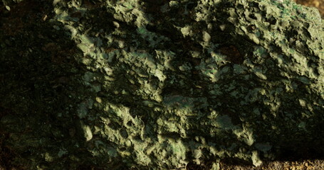 A close up of a textured green rock illuminated by the warm glow of sunlight. This natural curiosity showcases intricate details and reflections in a tranquil outdoor setting.