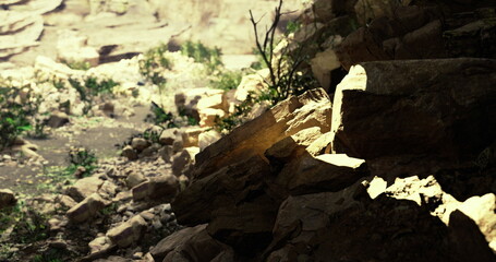 Natural light highlights textured rocks in a serene canyon, surrounded by scattered greenery and steep cliffs. The peaceful atmosphere reflects the beauty of untouched wilderness.