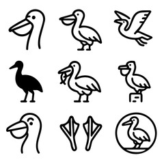 Stylized Pelican Illustrations Showcasing Various Poses and Design Elements.