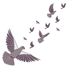 A flock of gray pigeons with purple accents flying gracefully against a white background
