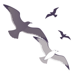 A flock of seagulls soaring gracefully through the sky with wings spread wide