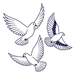 Three elegant white doves with dark blue outlines flying gracefully with outstretched wings against a white background